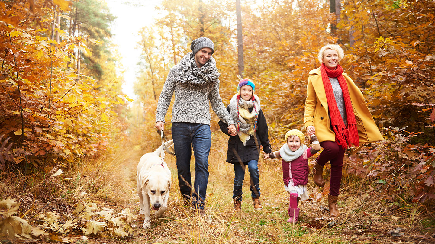 Herbstblues: Junge Familie mit zwei kleinen Kindern und Hund spazieren gut gelaunt durch den Herbstwald.